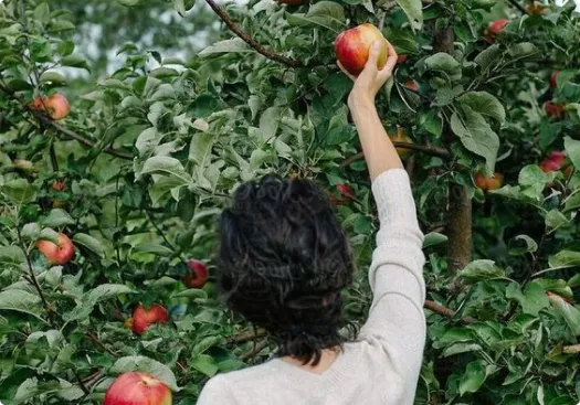 fresh-food.com