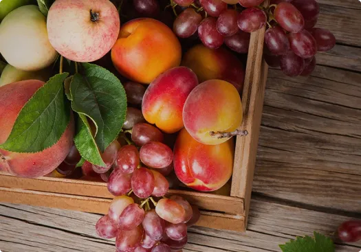 fresh-food.com