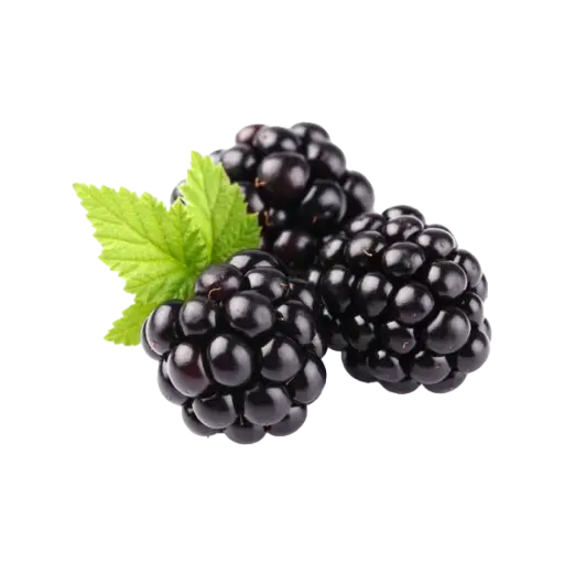 Blackberry. 1