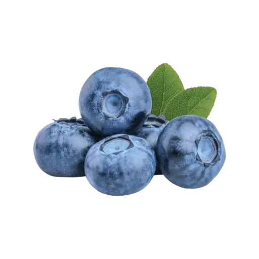 Blueberry