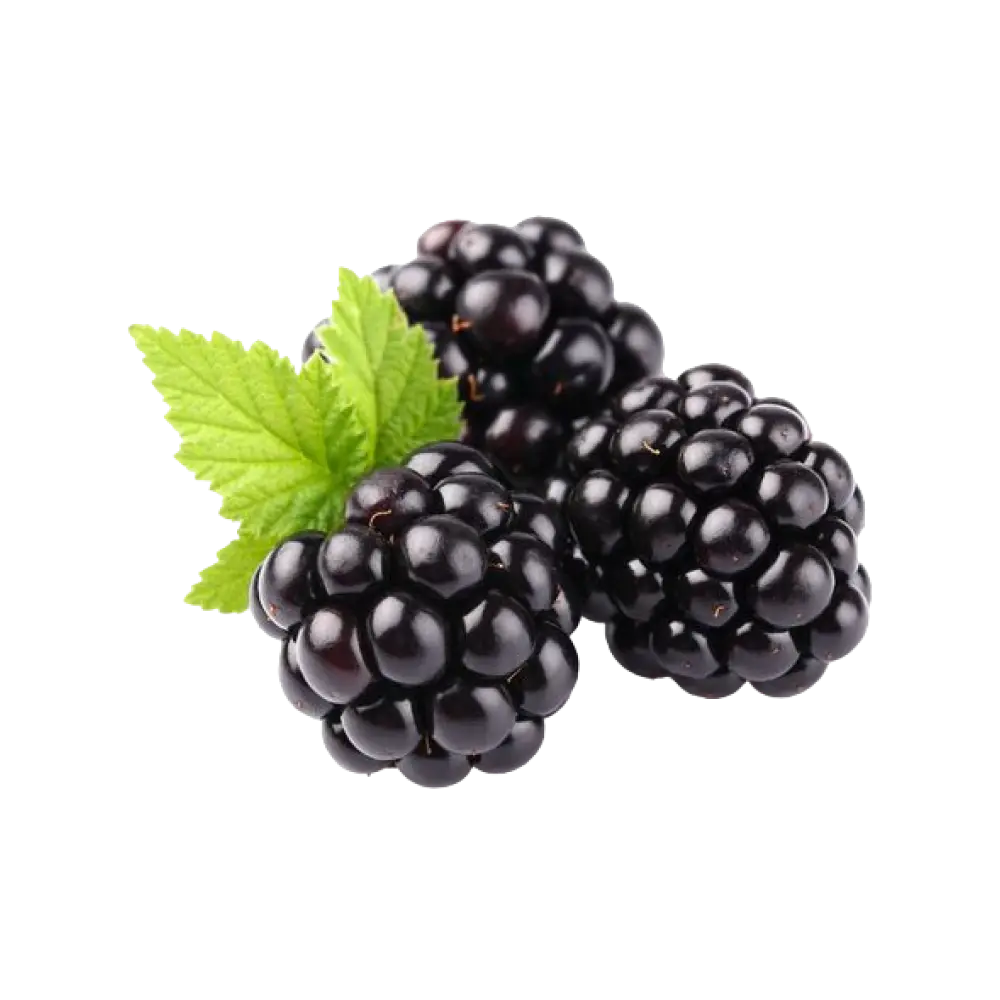 Blackberry. 1