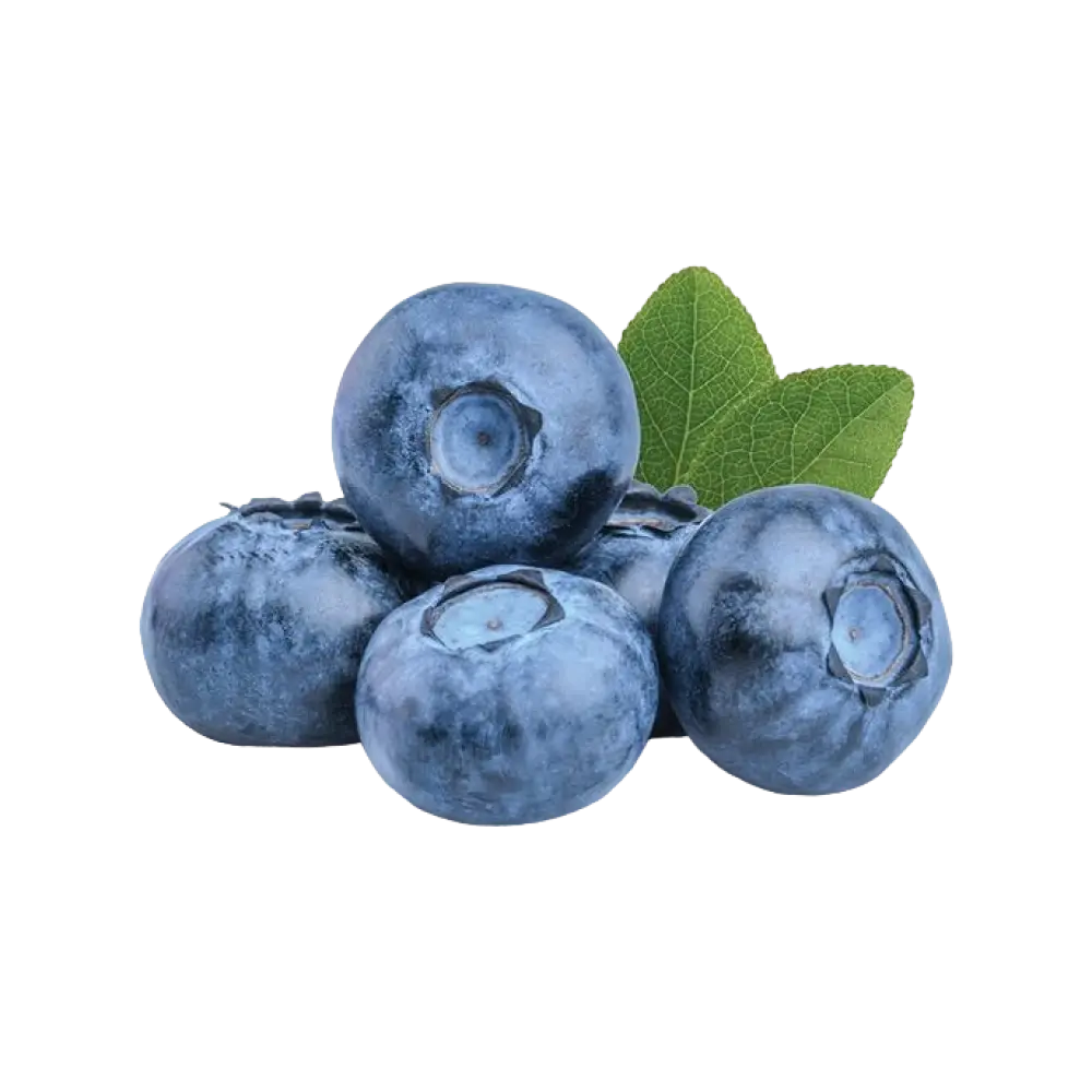 Blueberry