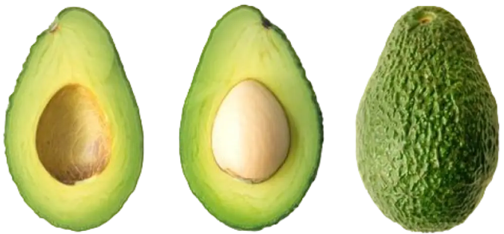 Avacado