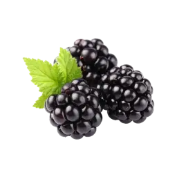 Blackberry. 1